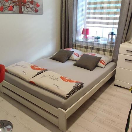 Torino Apartment Zator Exterior photo